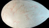 1980 NFL Pro Bowl Team Signed Wilson Official Football 30+ Sigs JSA COA