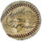 1939 New York Yankees World Series Champs Team Signed Baseball Beckett COA