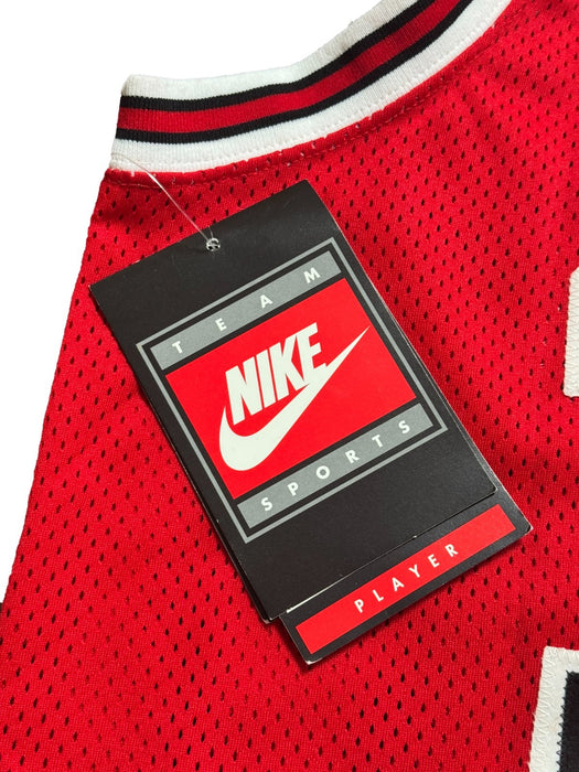 Scottie Pippen Signed Nike Authentic Chicago Bulls Jersey JSA Certified