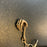 Robert Englund Signed Keyklaw Horror Skeleton Keychain JSA Nightmare on Elm St