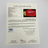Muhammad Ali Signed Everlast Boxing Glove JSA COA