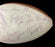 1978 NFL Pro Bowl Team Signed Wilson Official Football 40 Sigs JSA COA
