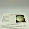 Roy Spencer Single Signed Baseball New York Giants Pittsburgh Pirates JSA COA