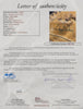 Dizzy Dean Single Signed 1940's Baseball Glove JSA COA RARE