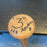 2017 Sal League Minor League All Star Game Team Signed Baseball Bat