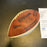 1979 Green Bay Packers Team Signed Wilson NFL Game Football Bart Starr JSA COA