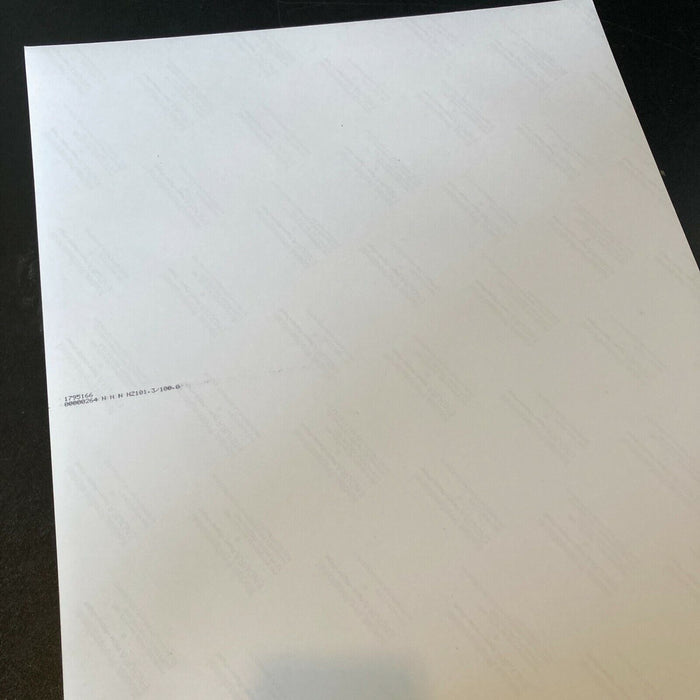 Pete Townshend Signed Autographed 16x20 Photo JSA COA The Who