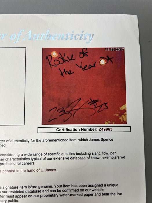 LeBron James Signed "Rookie Of the Year 04” Malcolm Farley Painting Art JSA UDA