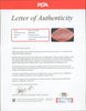 Quarterback HOF Legends Multi Signed Football 23 Sigs Bart Starr Joe Namath PSA