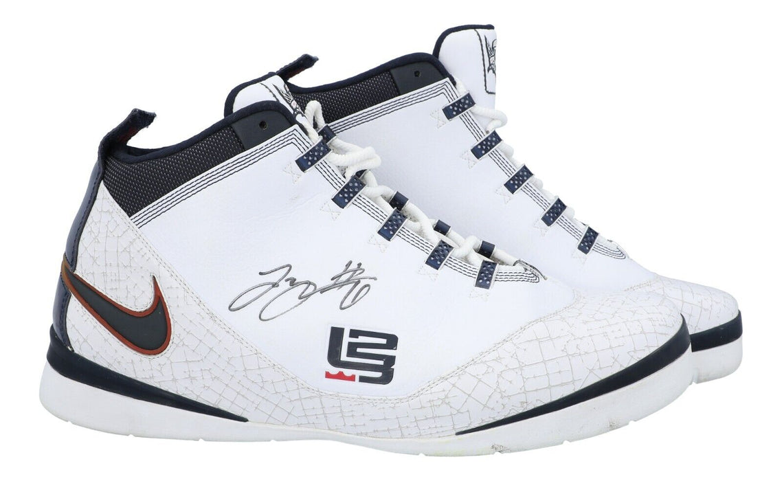 Lebron james shoes disjunct white and black