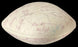 1978 NFL Pro Bowl Team Signed Wilson Official Football 40 Sigs JSA COA