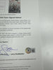 Tom Brady 2016 New England Patriots Super Bowl LI Champs Team Signed Helmet PSA