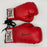 Muhammad Ali Signed Everlast Boxing Gloves Gloves JSA Graded 10 GEM MINT