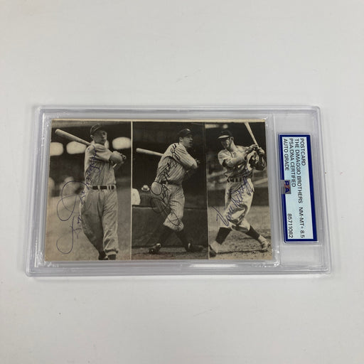 Joe Dimaggio Vince Dimaggio Dom Dimaggio Signed 1970's TCMA Postcard PSA DNA