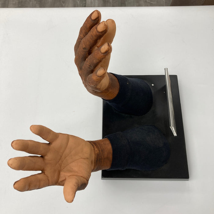 Willie Mays Original Hands Sculpture 1954 World Series "The Catch" With COA