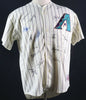 RARE 2001 Arizona Diamondbacks World Series Champs Team Signed Jersey PSA DNA