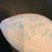 Vintage 1972 Miami Dolphins Super Bowl Champs Team Signed Football (40+) JSA COA