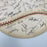 1991 St. Louis Cardinals Signed Large 24x24 Baseball Display