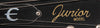 BB King Signed Autographed Epiphone Electric Guitar  PSA/DNA COA