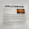 The Finest 1967 Green Bay Packers Super Bowl II Champs Team Signed Football PSA