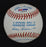Michael Jordan & Charles Barkley 1980's Signed American League Baseball PSA DNA