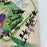 1994 Little League World Series Team Signed Program Venezuela VS. Northridge CA