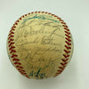Mike Schmidt Philadelphia Phillies Team Signed Official National League Baseball