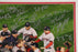 2007 Boston Red Sox Team World Series Champs Signed 16x20 Photo Steiner COA