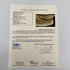 Sandy Koufax Signed 1950's Game Model Baseball Glove JSA COA