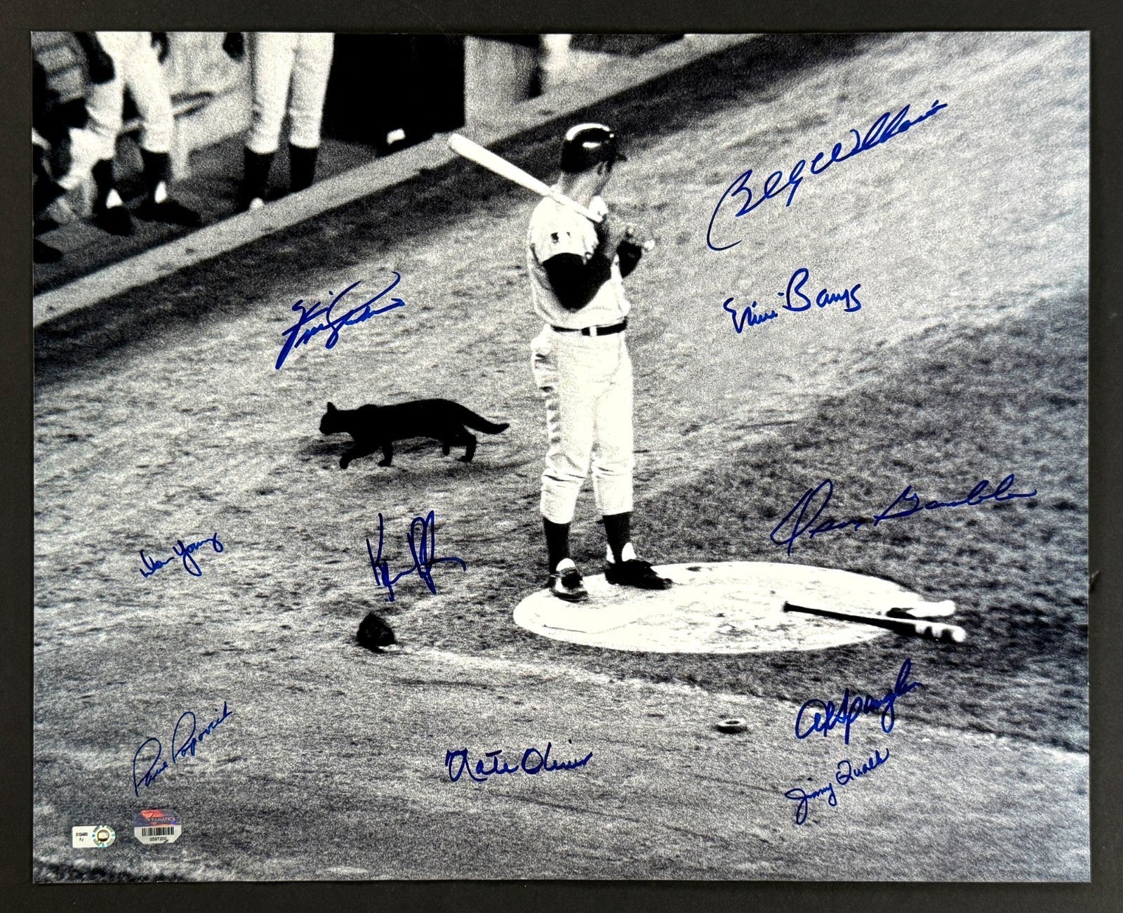 1969 Chicago Cubs Team Signed 16x20 Photo Fanatics & MLB Authentic