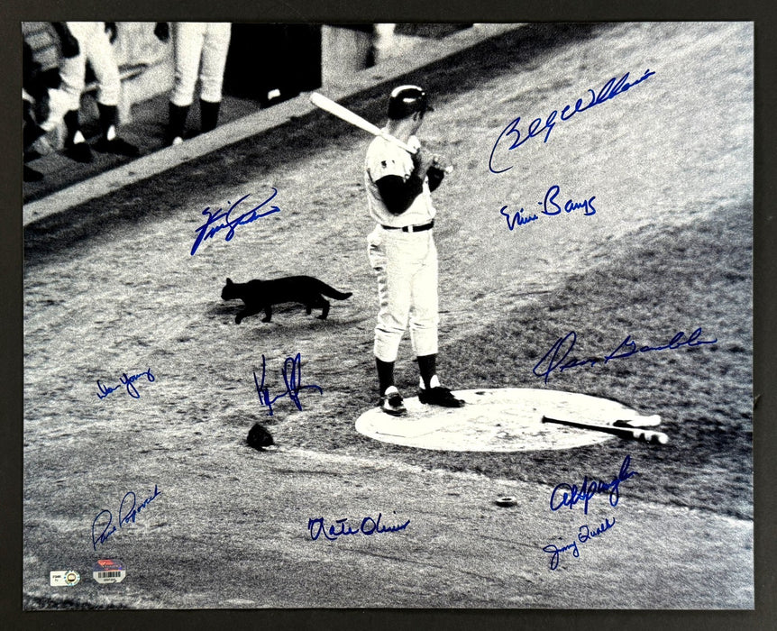 1969 Chicago Cubs Team Signed 16x20 Photo Fanatics & MLB Authentic