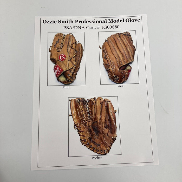 1991 Ozzie Smith Signed Game Used Rawlings Baseball Glove PSA DNA COA