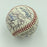 Philadelphia Phillies Greats Multi Signed Veterans Stadium Baseball 40 Signature