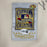 All Century Team Signed Jersey 15 Sigs With Ted Williams Willie Mays PSA & JSA