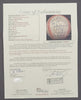 1992 All Star Game Team Signed Baseball Kirby Puckett Cal Ripken Jr. JSA COA