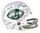 1969 New York Jets Super Bowl Champs Team Signed Authentic Game Helmet Steiner