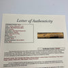 World Series MVP's Multi Signed Bat 10 Sigs Bob Gibson Willie Stargell JSA COA