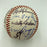 Chicago Cubs & White Sox Legends Signed Baseball Ernie Banks Nellie Fox JSA COA