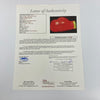 Muhammad Ali Signed Everlast Boxing Glove JSA COA