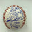 2013 St. Louis Cardinals NL Champs Team Signed World Series Baseball JSA COA