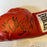 Montell Griffin William Joppy Fernando Vargas Winky Wright Signed Glove JSA COA
