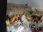 1972 Miami Dolphins Super Bowl Champs Team Signed 11x14 Photo 28 Sigs PSA DNA