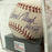 Johnny Bench HOF 1989 Signed Major League Baseball PSA DNA Graded Gem Mint 10