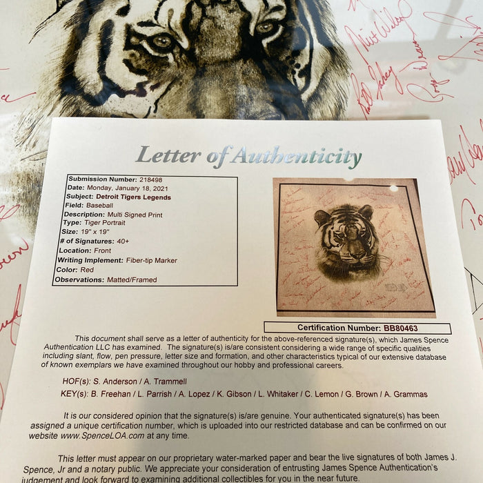 1968 & 1984 Detroit Tigers World Series Champions Team Signed 19x19 Photo JSA