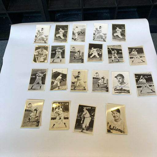 Lot Of (21) 1950's Cleveland Indians Signed Autographed Vintage Photos