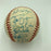 1993 Toronto Blue Jays World Series Champs Team Signed Baseball JSA COA