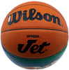Michael Jordan Signed Hand Painted Art Basketball JSA 9 MINT & UDA Upper Deck