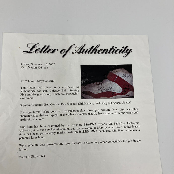 2007-08 Chicago Bulls Starting 5 Signed Nike Air Max Penny 4 Sneaker PSA DNA COA