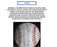 500 Home Run Signed Baseball With 21 Sigs! Mickey Mantle PSA DNA Graded 9 MINT