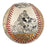 Beautiful Bill Dickey Hand Painted George Sosnak Folk Art Hall Of Fame Baseball